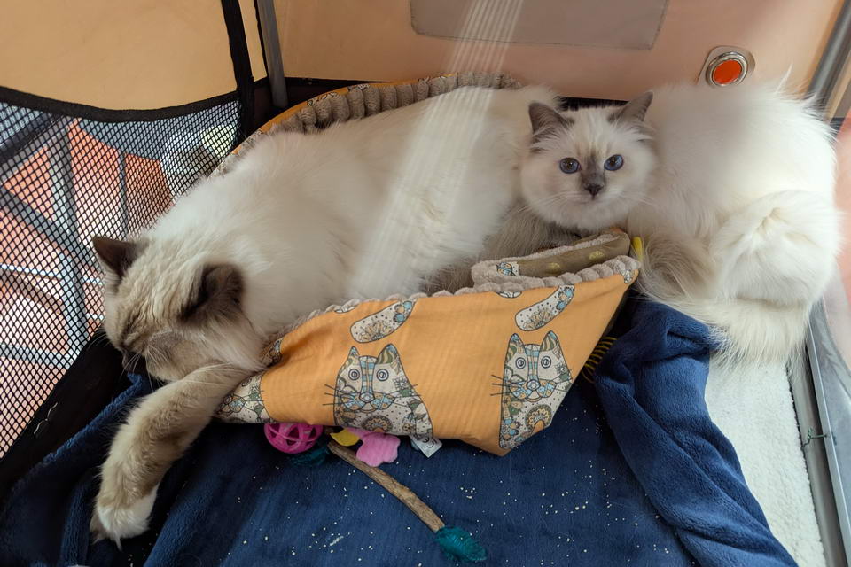 En expo avec mon papa Fusco