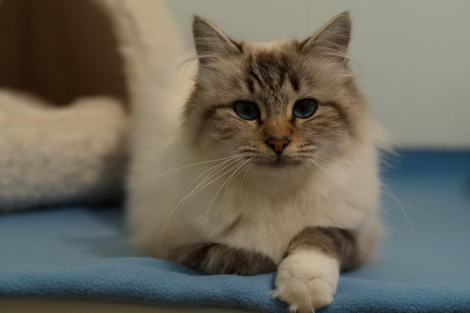 Lynaé 2019 11 25 04